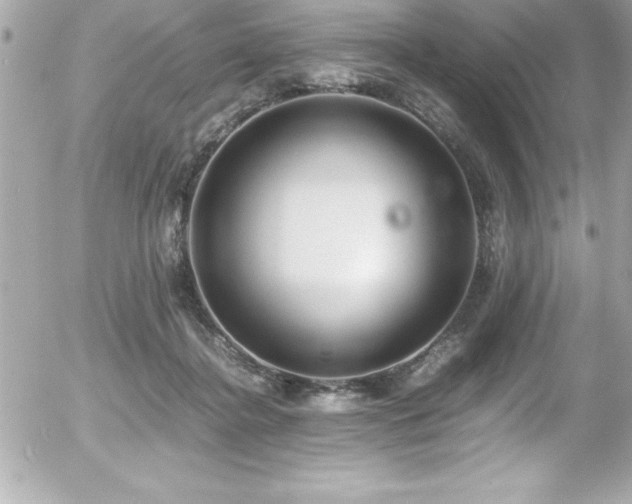 X0000056000364200508191330