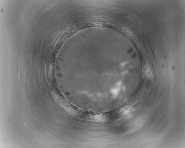 X0000056000365200508191330