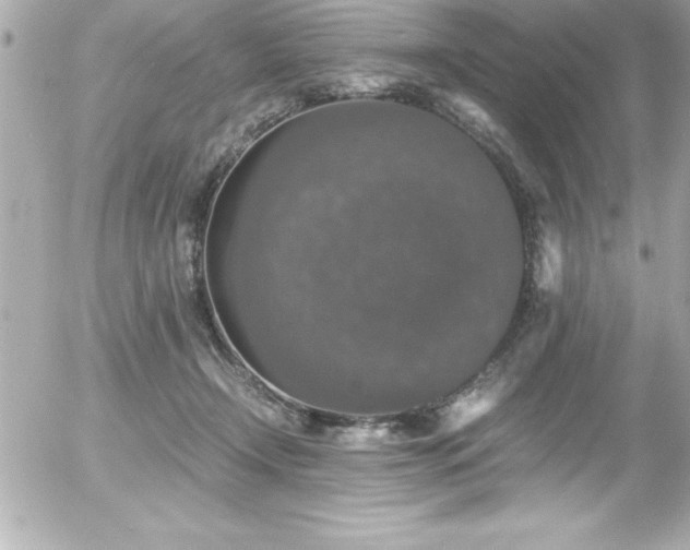 X0000056000366200508191330