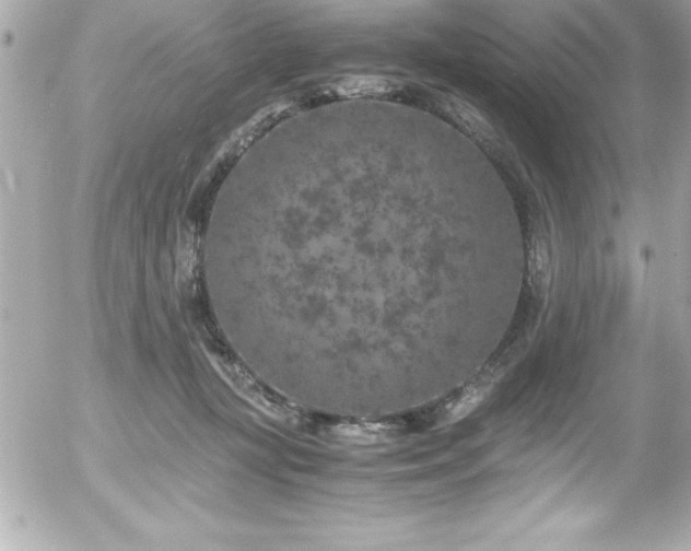 X0000056000367200508191330