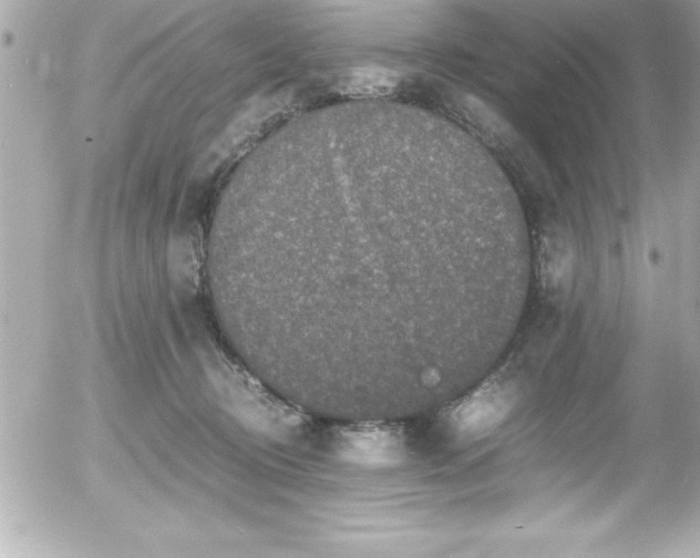 X0000056000370200508191330