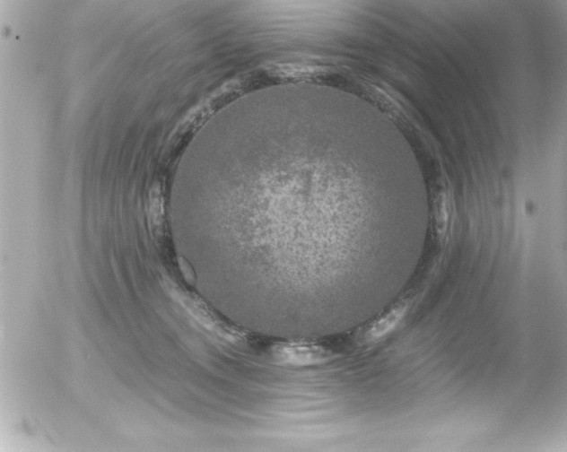 X0000056000372200508191330