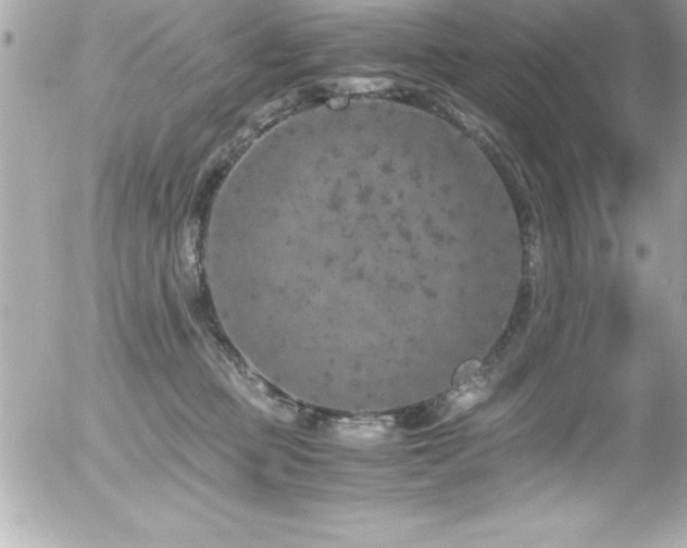 X0000056000373200508191330