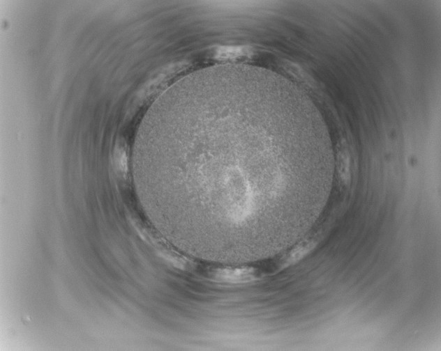 X0000056000375200508191330