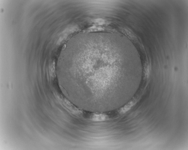 X0000056000376200508191330