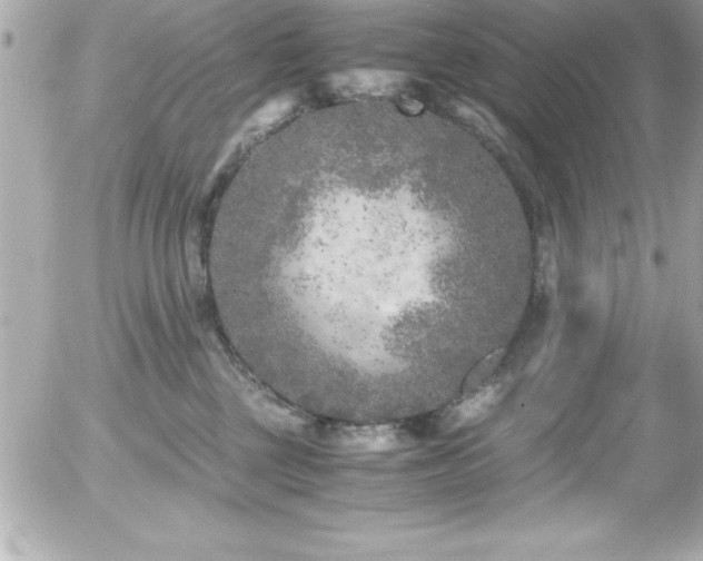 X0000056000377200508191330