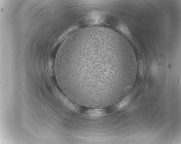 X0000056000378200508191330