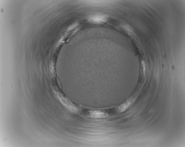 X0000056000380200508191330