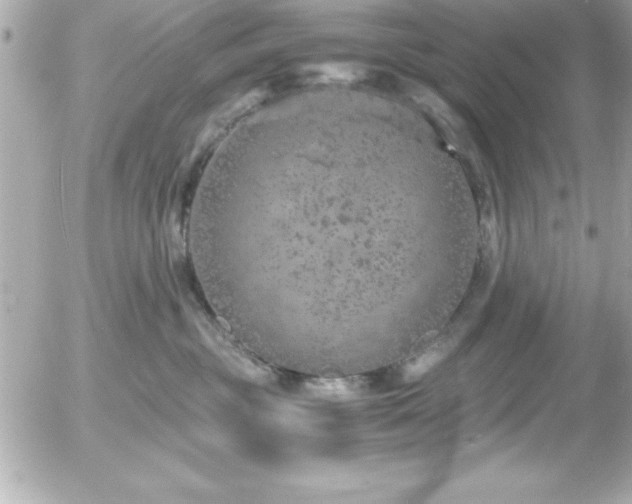 X0000056000381200508191330