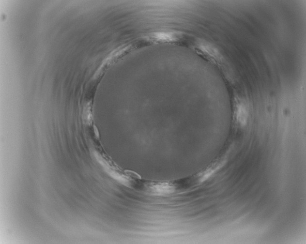 X0000056000383200508191330