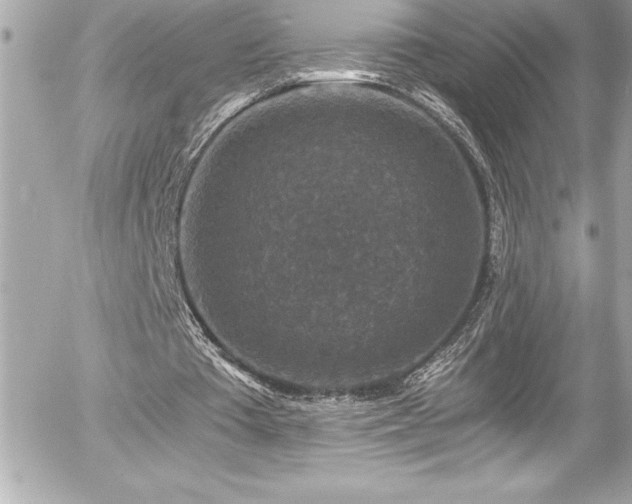 X0000056000385200508191329