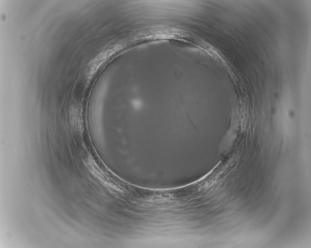 X0000056000386200508191329