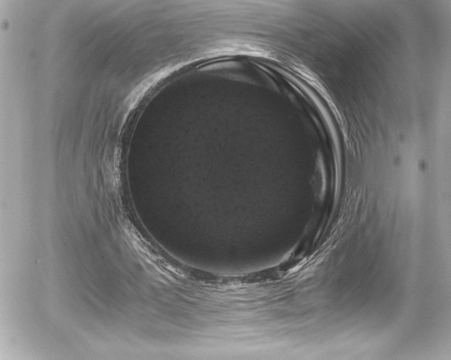 X0000056000387200508191329