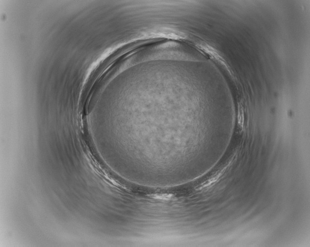 X0000056000388200508191329