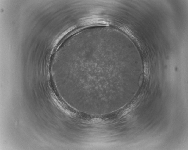 X0000056000390200508191329