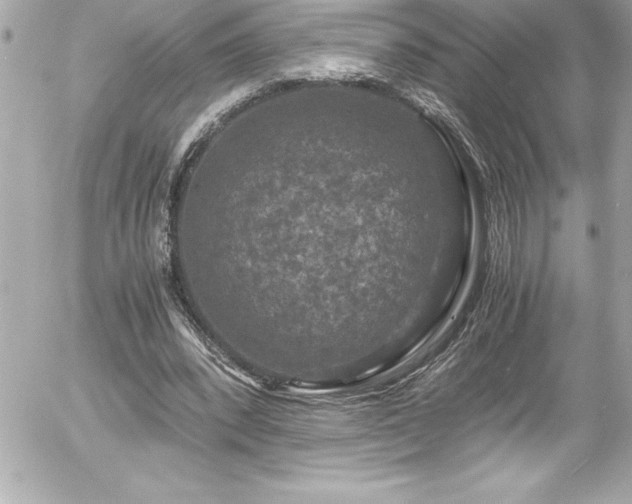 X0000056000392200508191329