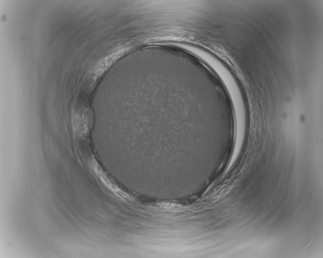 X0000056000393200508191329