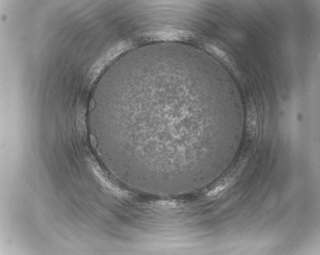 X0000056000394200508191329