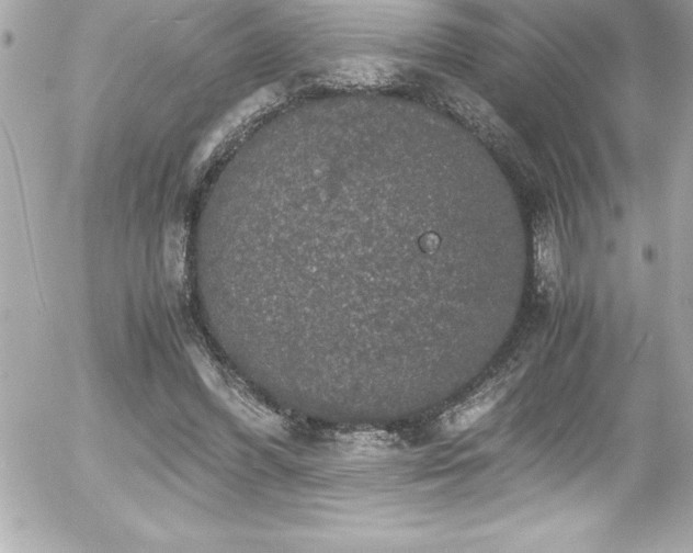 X0000056000396200508191329