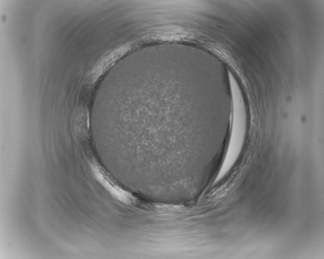 X0000056000397200508191329