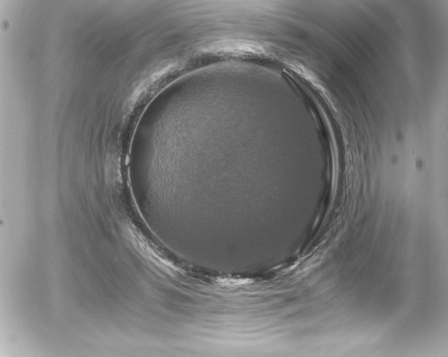 X0000056000399200508191329