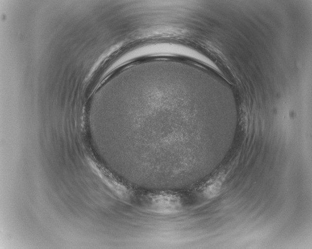 X0000056000400200508191329