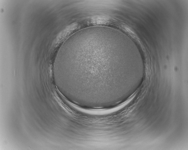 X0000056000401200508191329