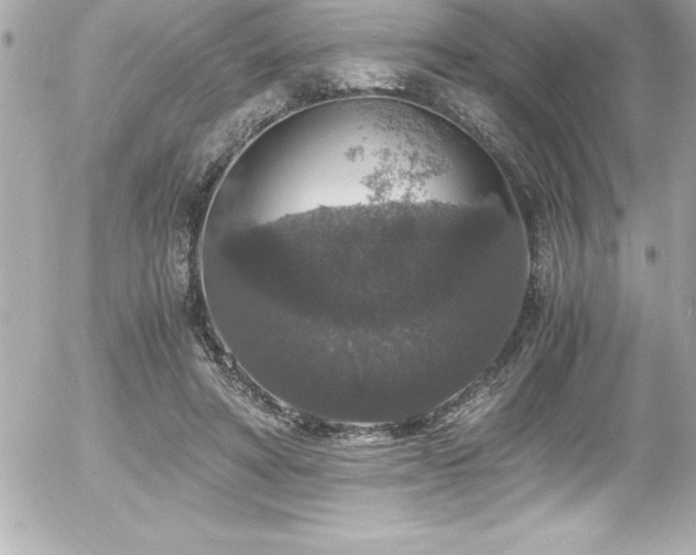 X0000056000402200508191329