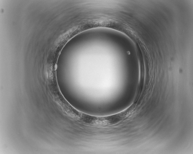 X0000056000403200508191329