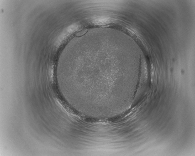 X0000056000404200508191329