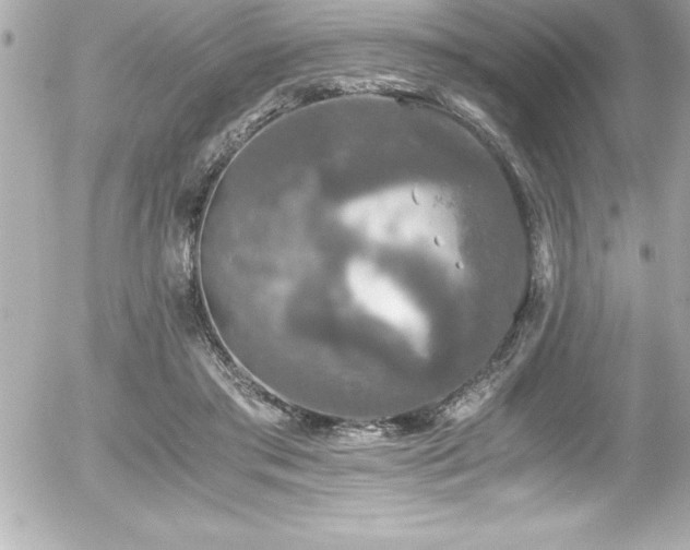 X0000056000405200508191329