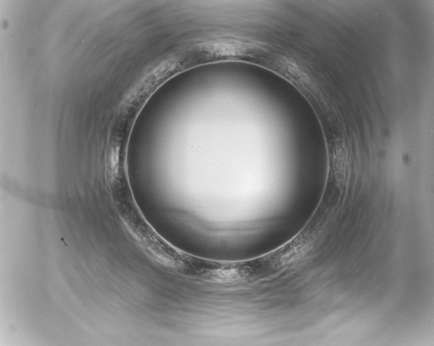 X0000056000406200508191329