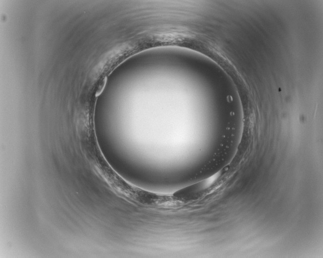 X0000056000407200508191329