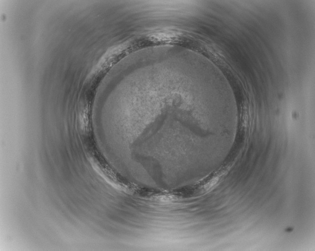 X0000056000408200508191329