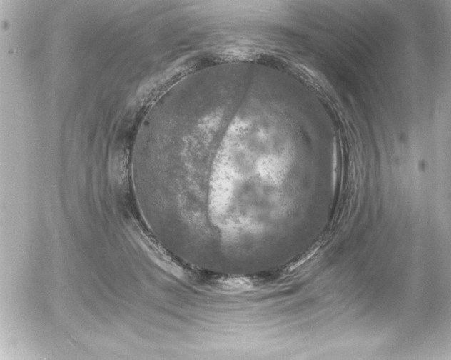 X0000056000409200508191329