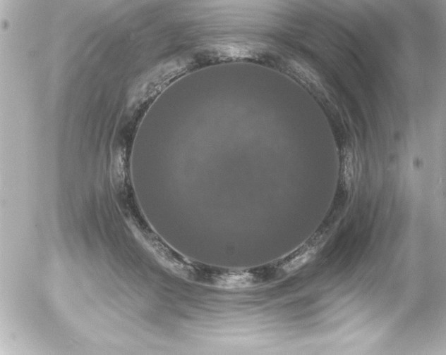 X0000056000410200508191329