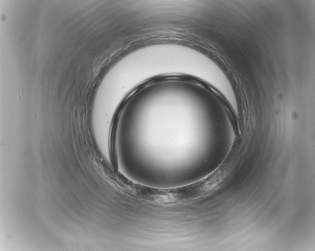 X0000056000411200508191329