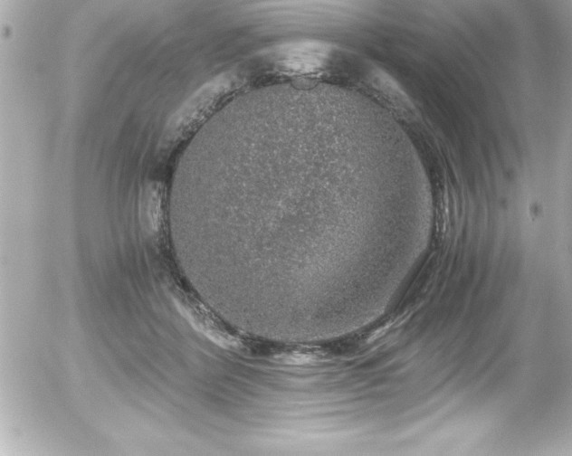 X0000056000412200508191329