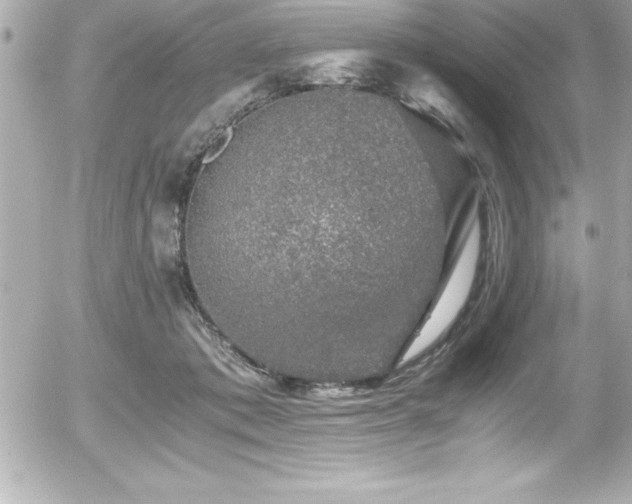 X0000056000413200508191329