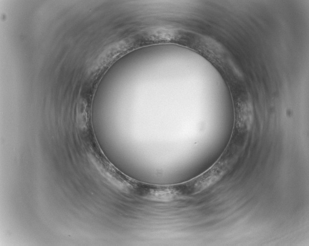 X0000056000414200508191329