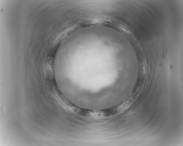 X0000056000415200508191329