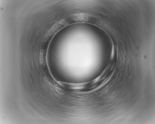 X0000056000416200508191329