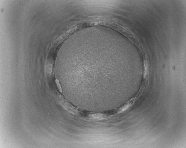 X0000056000417200508191329