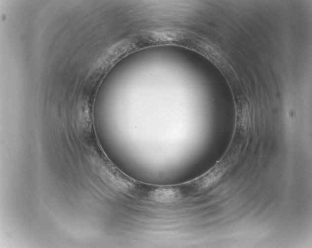 X0000056000418200508191329