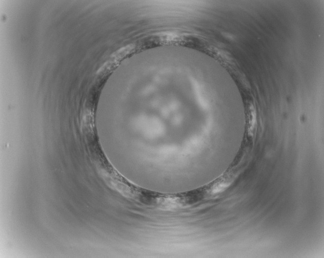 X0000056000419200508191329