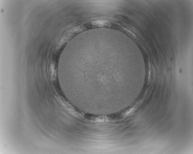 X0000056000420200508191329