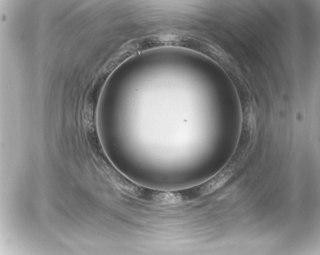 X0000056000421200508191329