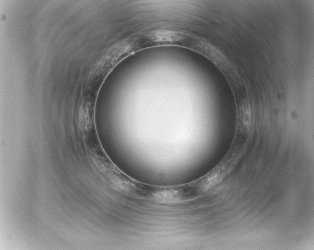 X0000056000422200508191328