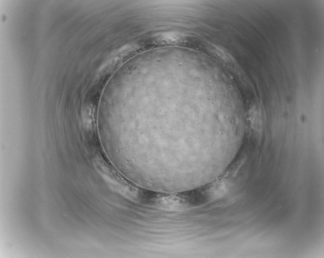 X0000056000423200508191328