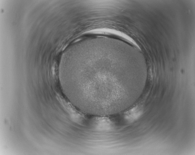 X0000056000424200508191328